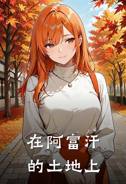 在阿富汗的土地上