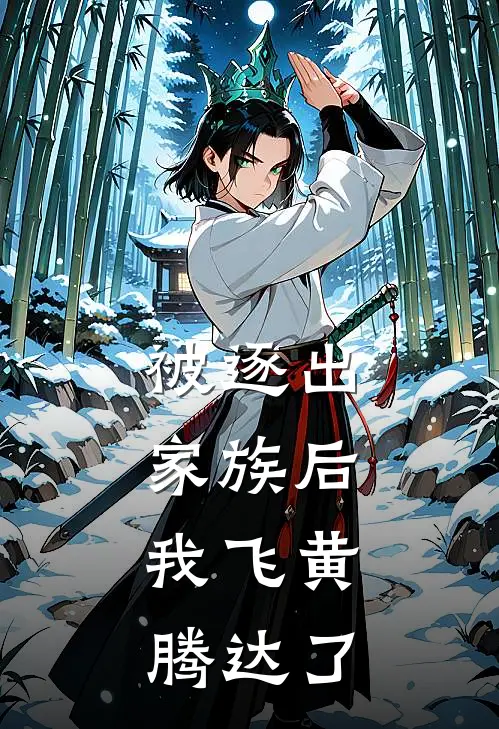 被逐出家族后，我飞黄腾达了